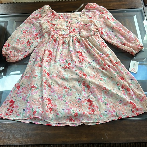 Poppies and Roses Long-Sleeve Ruched Bodice Floral Printed Knit Shift Dress - Picture 7 of 15